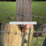 gwoździe hakowe (podkowiaste) cynkowane ogniowo Fence - obrazek 2